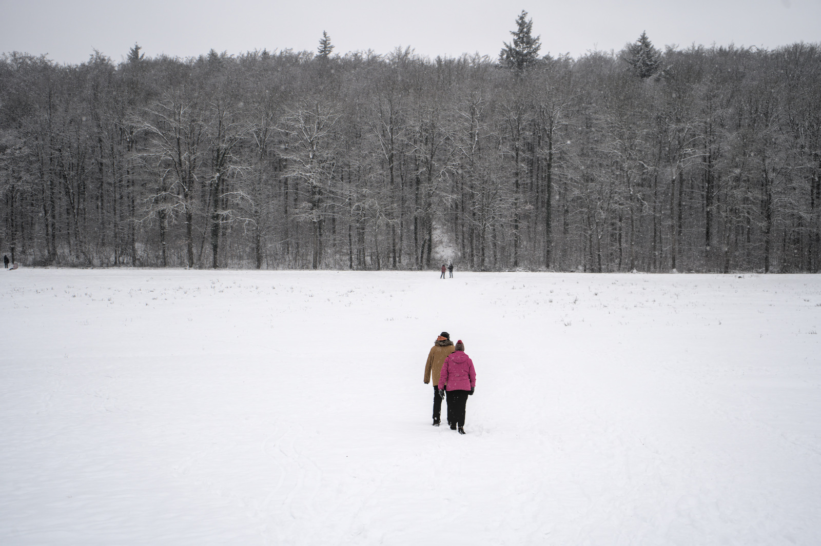 Winterspaziergang in Böblingen