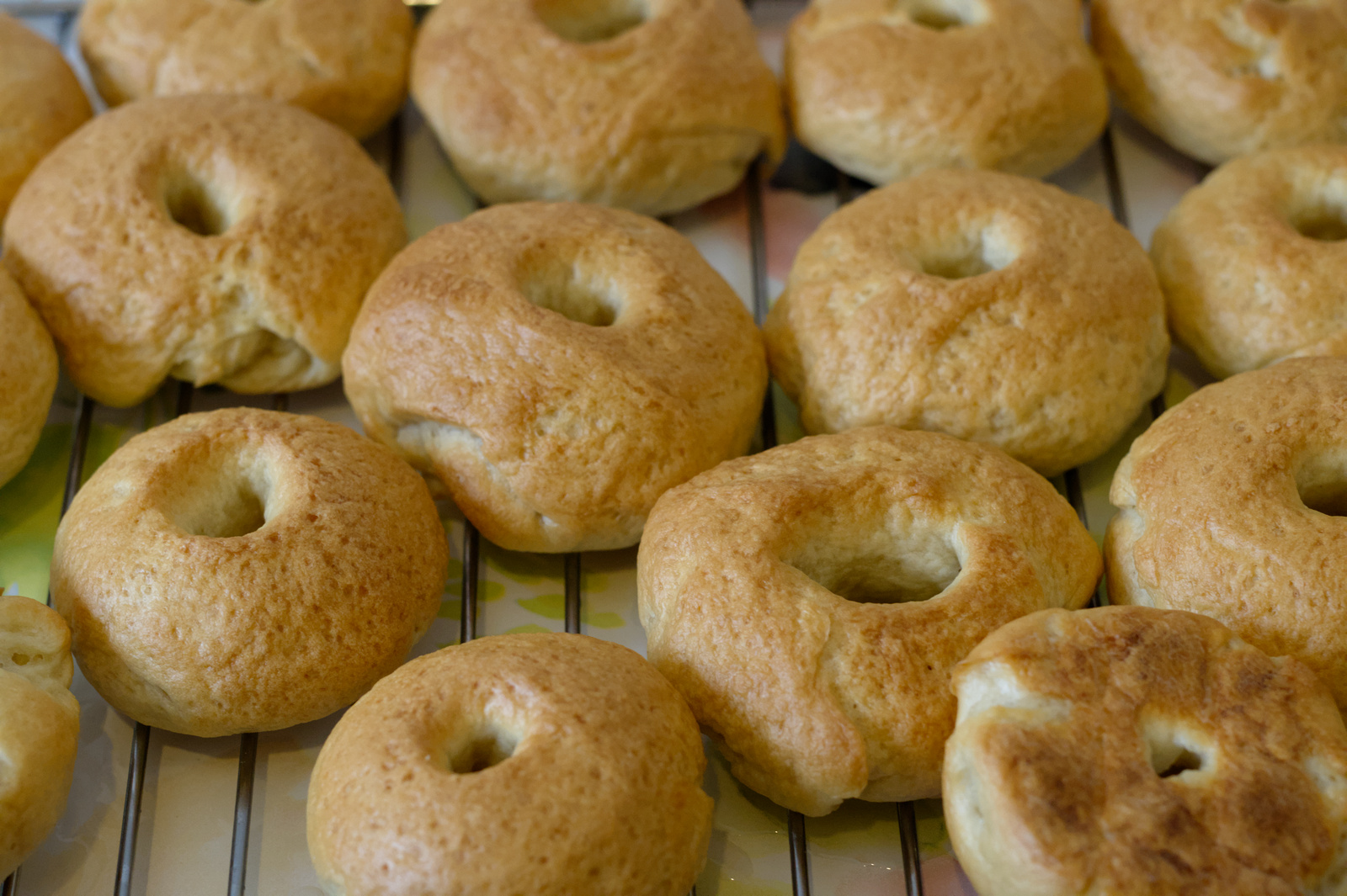Bagel